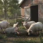 La Ferme aux Animaux